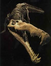 Mystriosuchus bija... Autors: adlere No kā ir izcēlies mūsdienu krokodils - aizvēstures monst