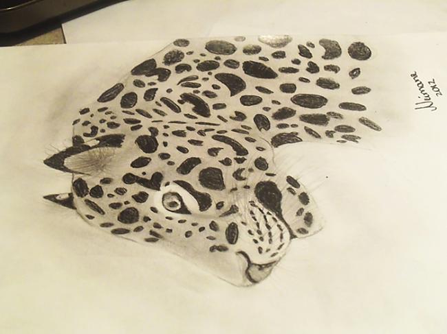 Čiki briki no visiem rakursiem Autors: Hamsters1 Kā uzzīmēt leopardu.