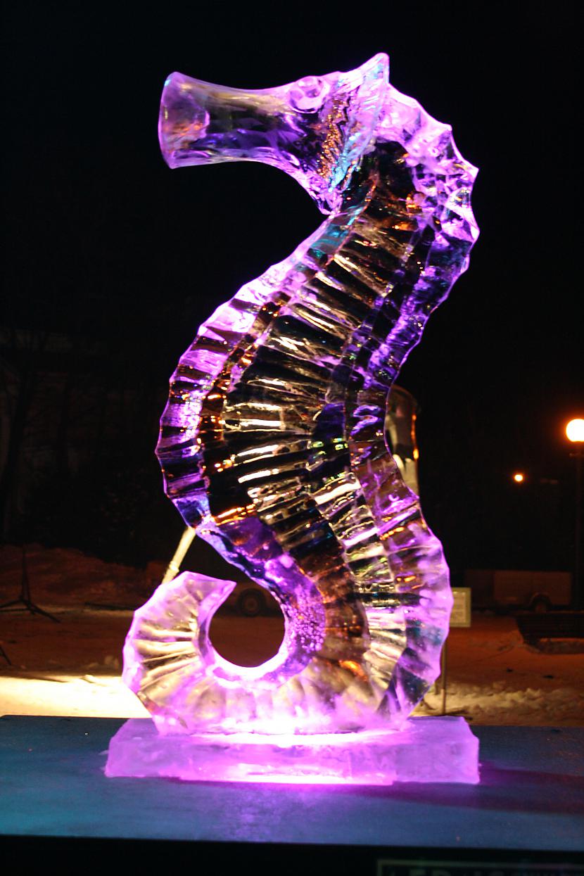  Autors: connected Jelgavas ledus skulptūras