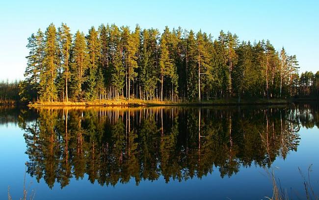  Autors: Fosilija Latvijas Daba