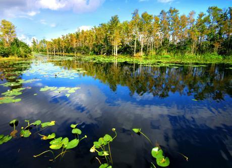  Autors: Fosilija Latvijas Daba