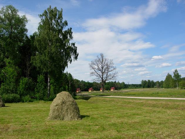  Autors: Fosilija Latvijas Daba