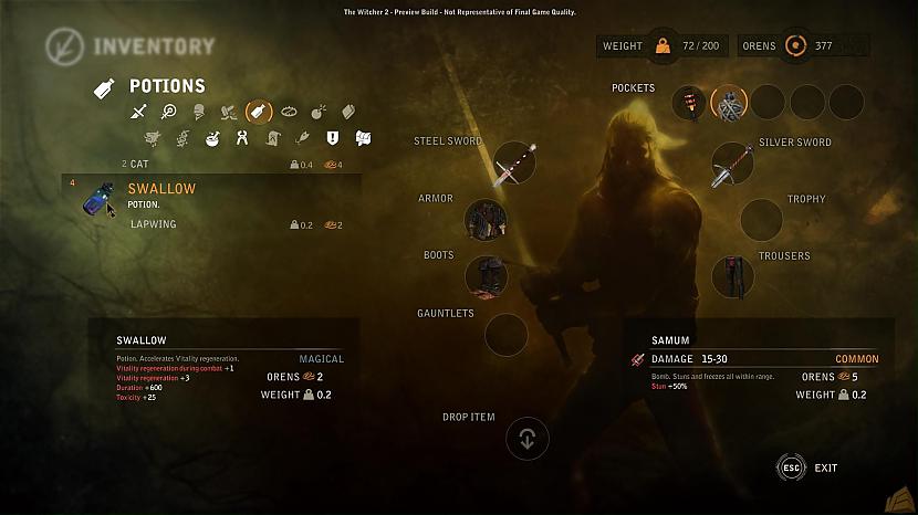 the witcher 2 assassins of kings max level