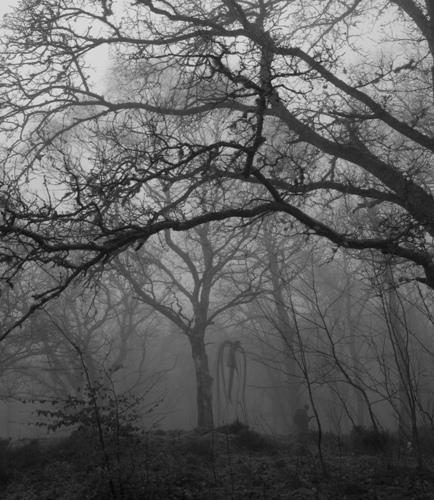 Taču iespējams Slender Man... Autors: BoyMan Slender Man.