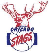 Chigaco Stags komandas logo Autors: Fosilija 1948.—1949. gada ABA sezona