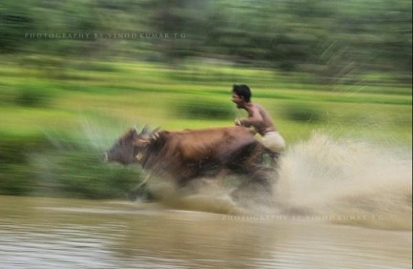  Autors: TuGribiManiAtvichaju Bulsērfings -populārākā nodarbe Indijās "laukos"