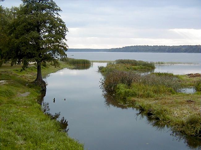 Balupes ieteka Balvu ezerā Autors: Fosilija Latvija,ezeri.Balvu ezers.