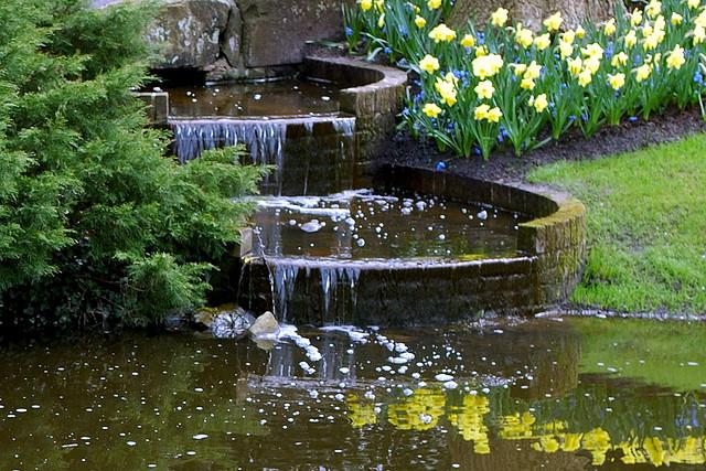  Autors: Fosilija Krāšņie pavasara ziedi Keukenhof  parkā.