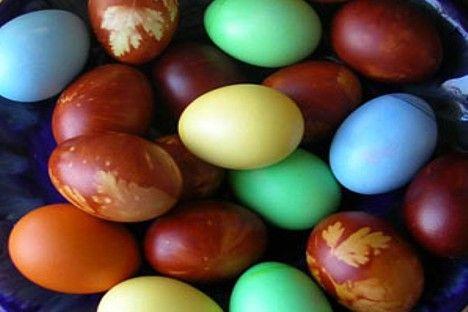  Ja olas vāra bērzu lapās... Autors: Fosilija Kā krāsot olas!?