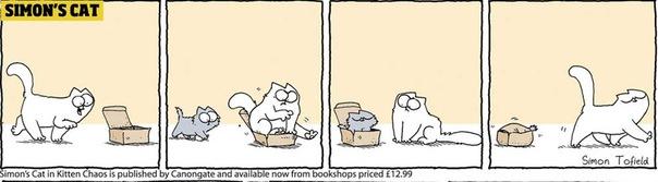  Autors: Benders03 simon's cat in kitten chaos