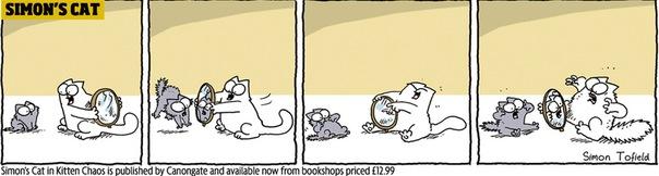  Autors: Benders03 simon's cat in kitten chaos