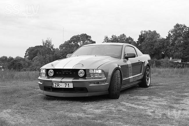 Ford Mustang CS8 Shelby46l... Autors: Riichijs Nopērkami Latvijā [5]