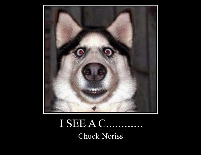 I see a c............