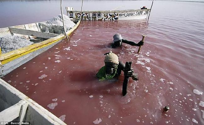 Tikko iegūta sāls ir pelēkā... Autors: Franziskaner Zemeņu ezers