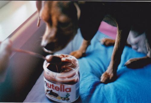  Autors: MissBlueberry I love Nutella