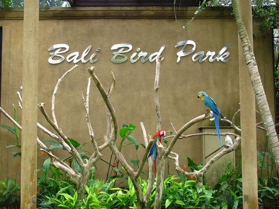 15 Scaronīs parks aizņem 2 ha... Autors: Persija Indonēzijas sala - Bali