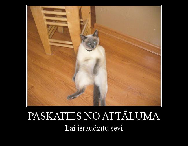  Autors: Colonel Meow Paskaties no attāluma
