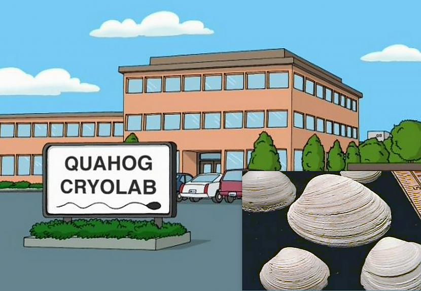 Quahog ir ne vien pilsētas... Autors: Cepumins27 Fakti par Family Guy
