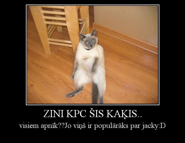  Autors: revengers zini kpc šis kaķis..