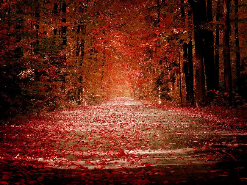  Autors: heartless Autumn.