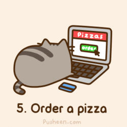  Autors: wolfsdream pusheen cat