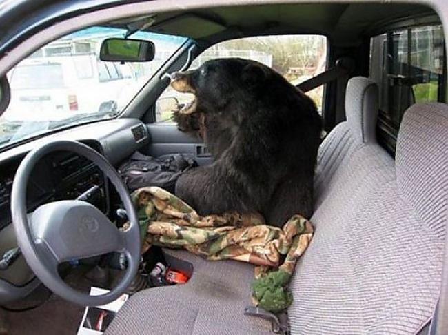  Autors: Pizhix Only in russia