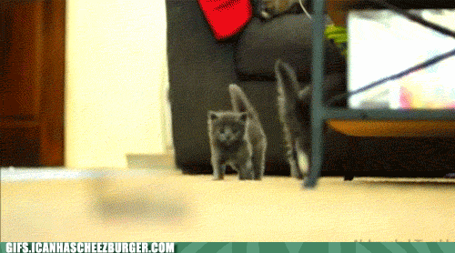  Autors: BatkaFaQ Just some cool and funny Gifs [1]