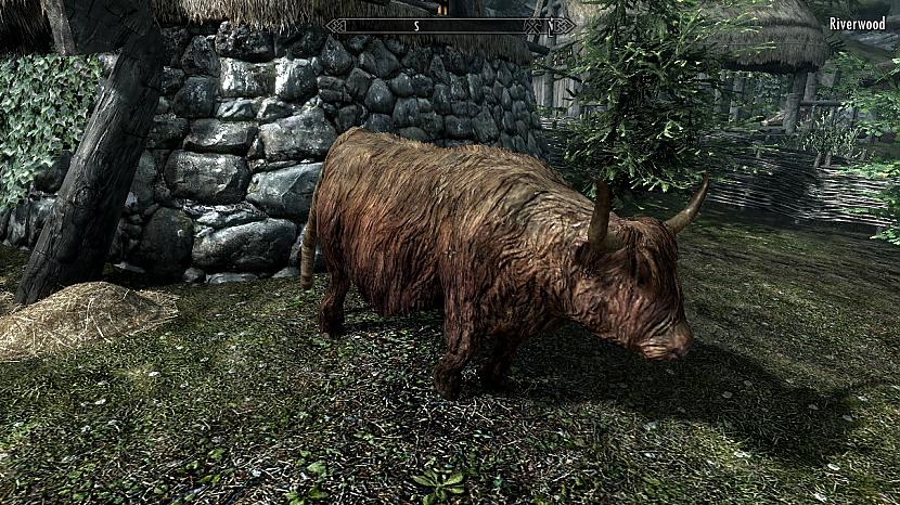 Un jaunajā dlc būs jauni... Autors: Dnite Skyrim jaunais DLC