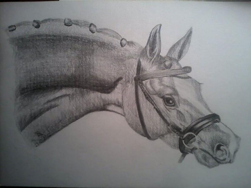 Diivaina paskata zirgs... Autors: Everbergerdīne Zīmēju 3