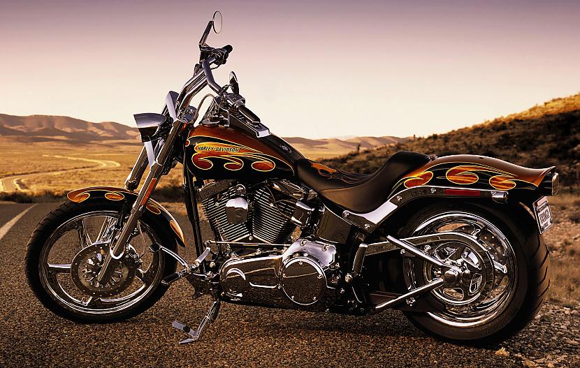 Softail Custom Autors: Fosilija Harley - Davidson, 2008