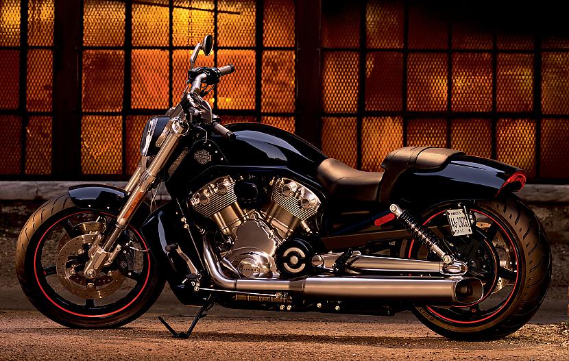 VRSC VRod Muscle Autors: Fosilija Harley - Davidson, 2009