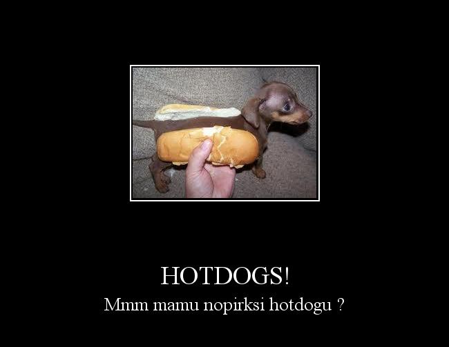  Autors: pelmenis123456 Hotdogs!