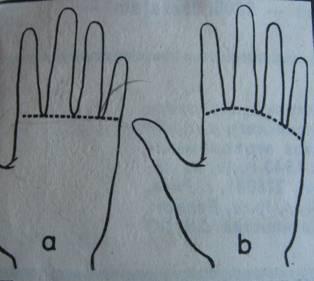 Pirkstu novietojums plaukstāA... Autors: Mr Cappuccino Ko stāsta tava plauksta un pirksti?
