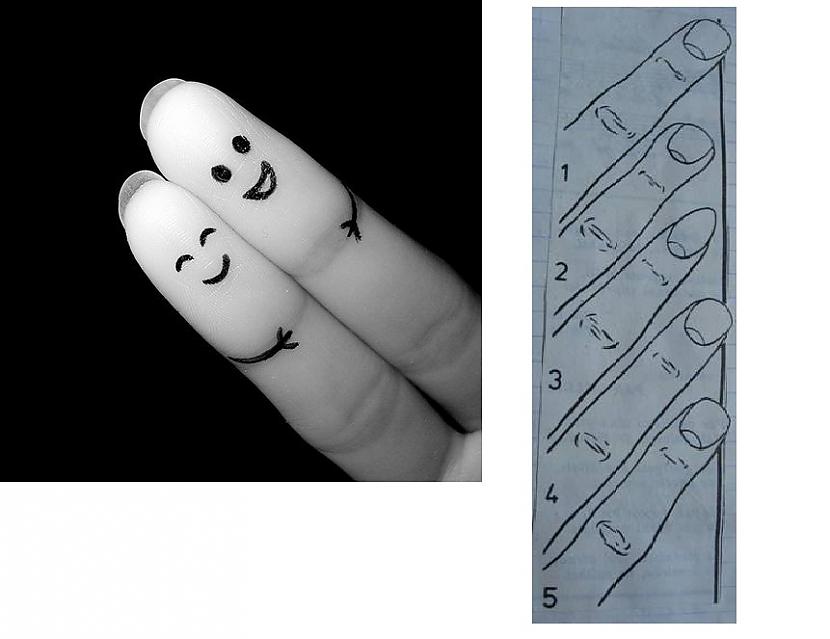 Pirkstu veidiGari pirksti... Autors: Mr Cappuccino Ko stāsta tava plauksta un pirksti?