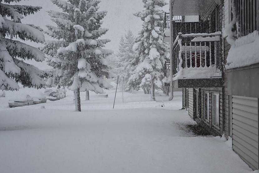  Autors: BuzzZubbPukey Sniega Šausmas Kanādā!!!!!