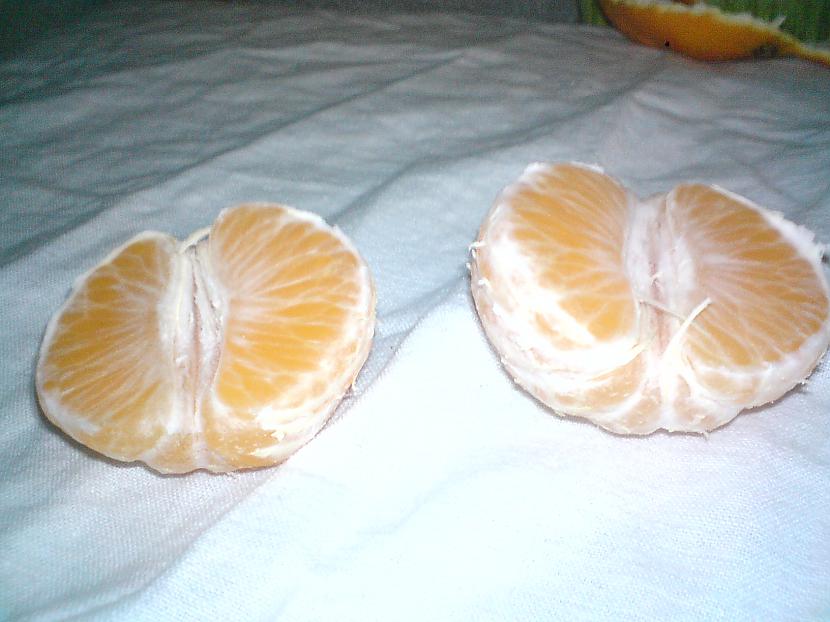  Autors: Pizhix Nomizo mandarīnu kā boss.
