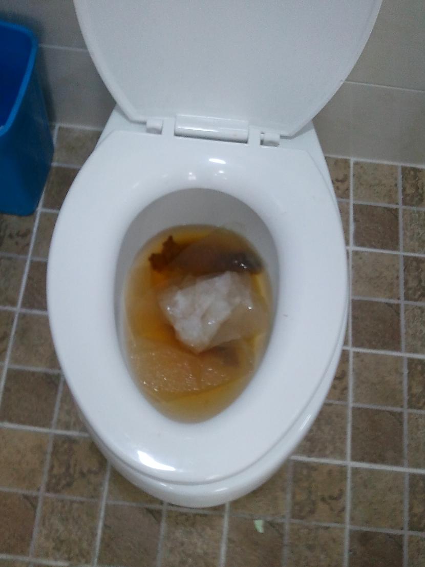 tīras tualetes Autors: im mad cuz u bad Kojas Style