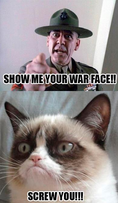  Autors: TheOne Grumpy cat