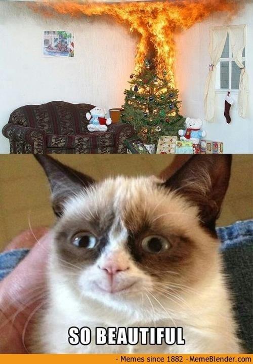  Autors: TheOne Grumpy cat