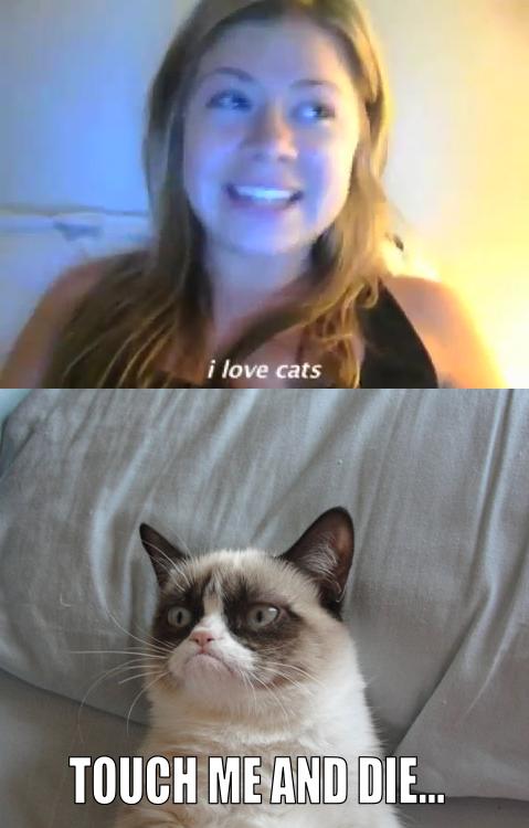  Autors: TheOne Grumpy cat