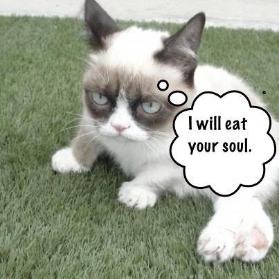  Autors: TheOne Grumpy cat