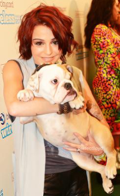 Cher Lloyd amp Sharon Autors: blackbery Slavenību mājdzīvnieki.
