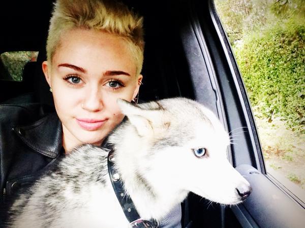 Miley Cyrus amp Floyd Autors: blackbery Slavenību mājdzīvnieki.