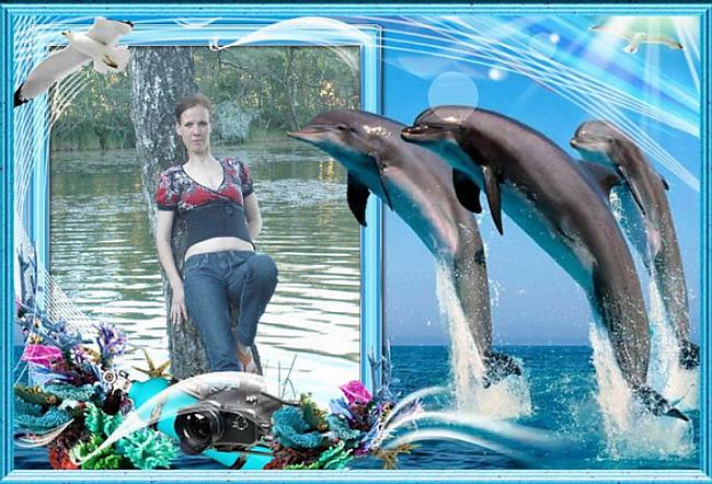 4 delfīns Autors: Xmozarus DR.lv ārprāta murgs !!!