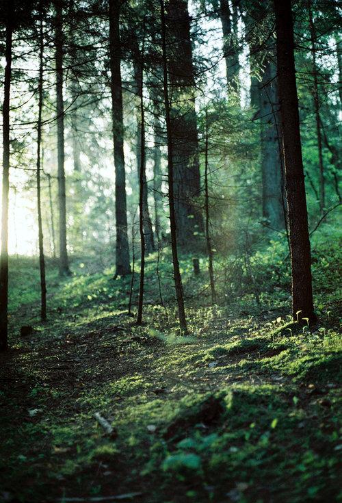  Autors: Maryllin green*