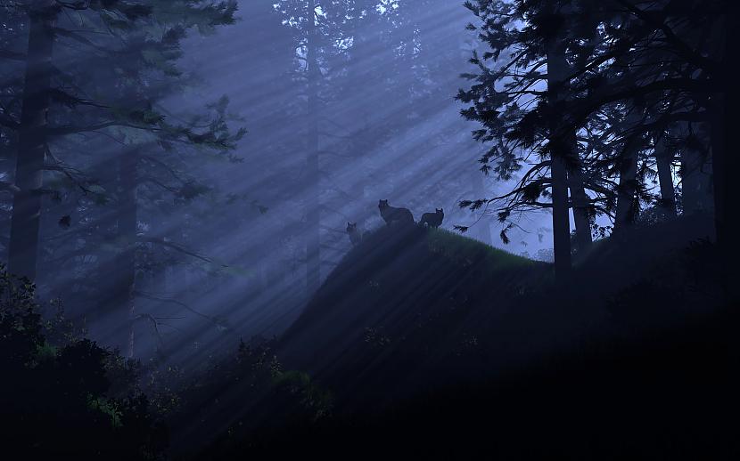  Autors: zobusāpes Mežā naktīs vilki gaudo