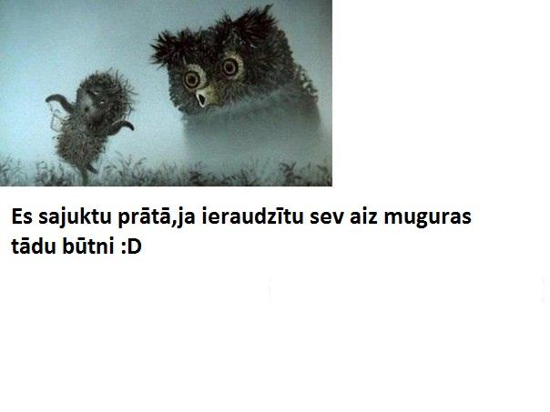 Autors: niknaisgailis Smiekliņ-bildītes