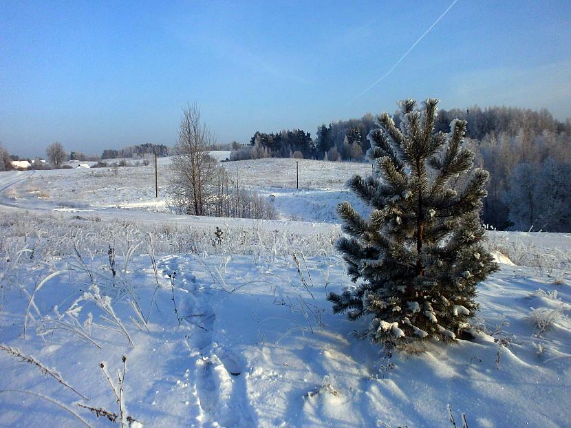  Autors: BoyMan Tā ir īsta ziema!