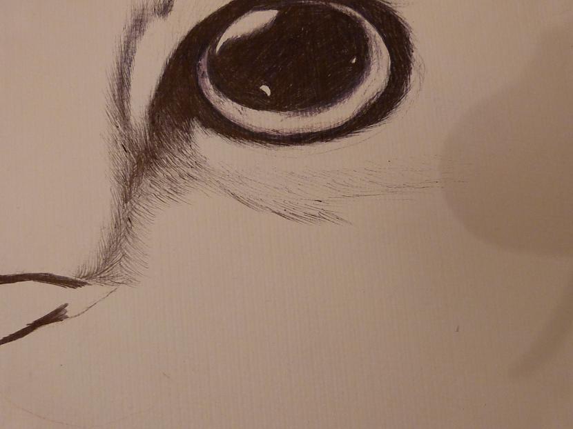 Sāku spalvojumu Domāju ka acs... Autors: Siluets Mēģinot zīmēt ar pildspalvu. Nr.2