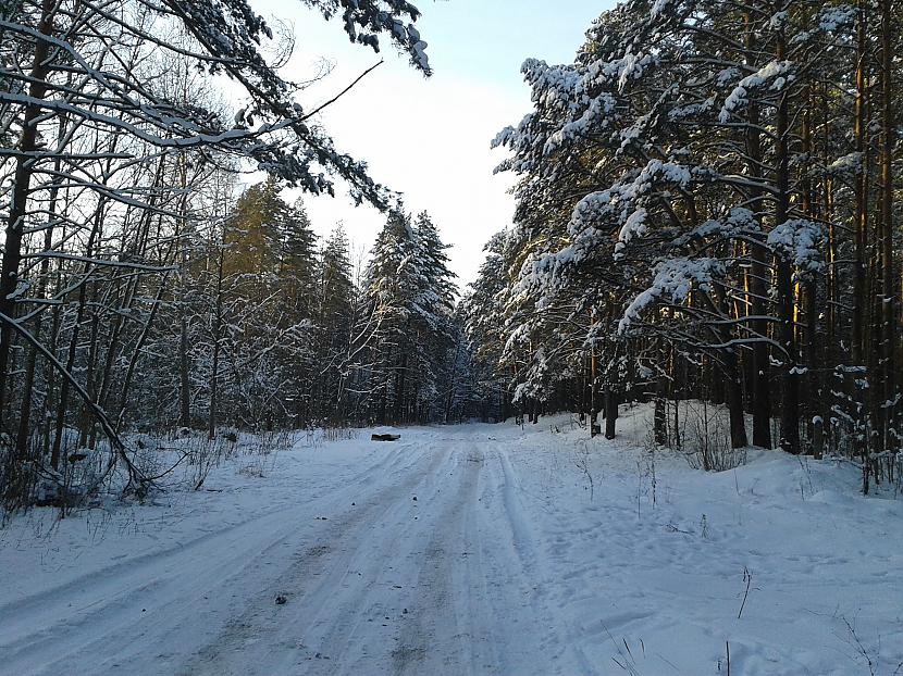 Prieks par sniedziņu lēnām... Autors: Xinjsh Velopastaiga 3 - Winter edition